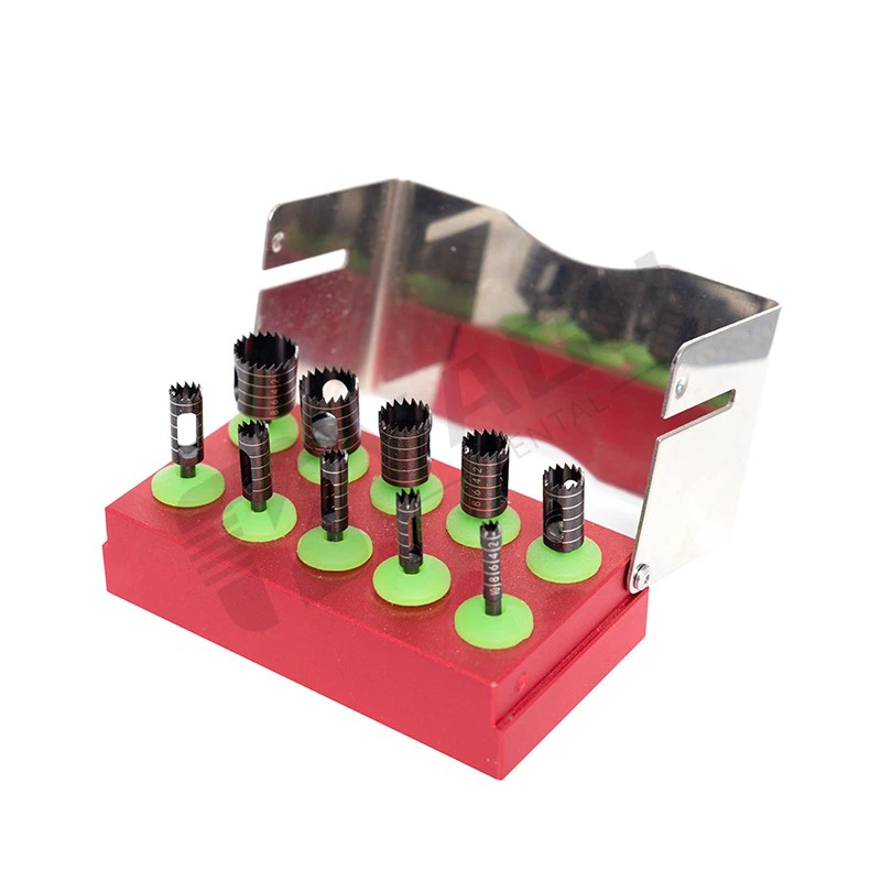 bone collector dental kit